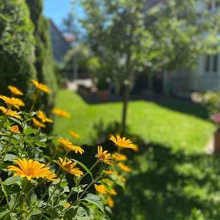 Hotel Villa Solln München Eksteriør bilde
