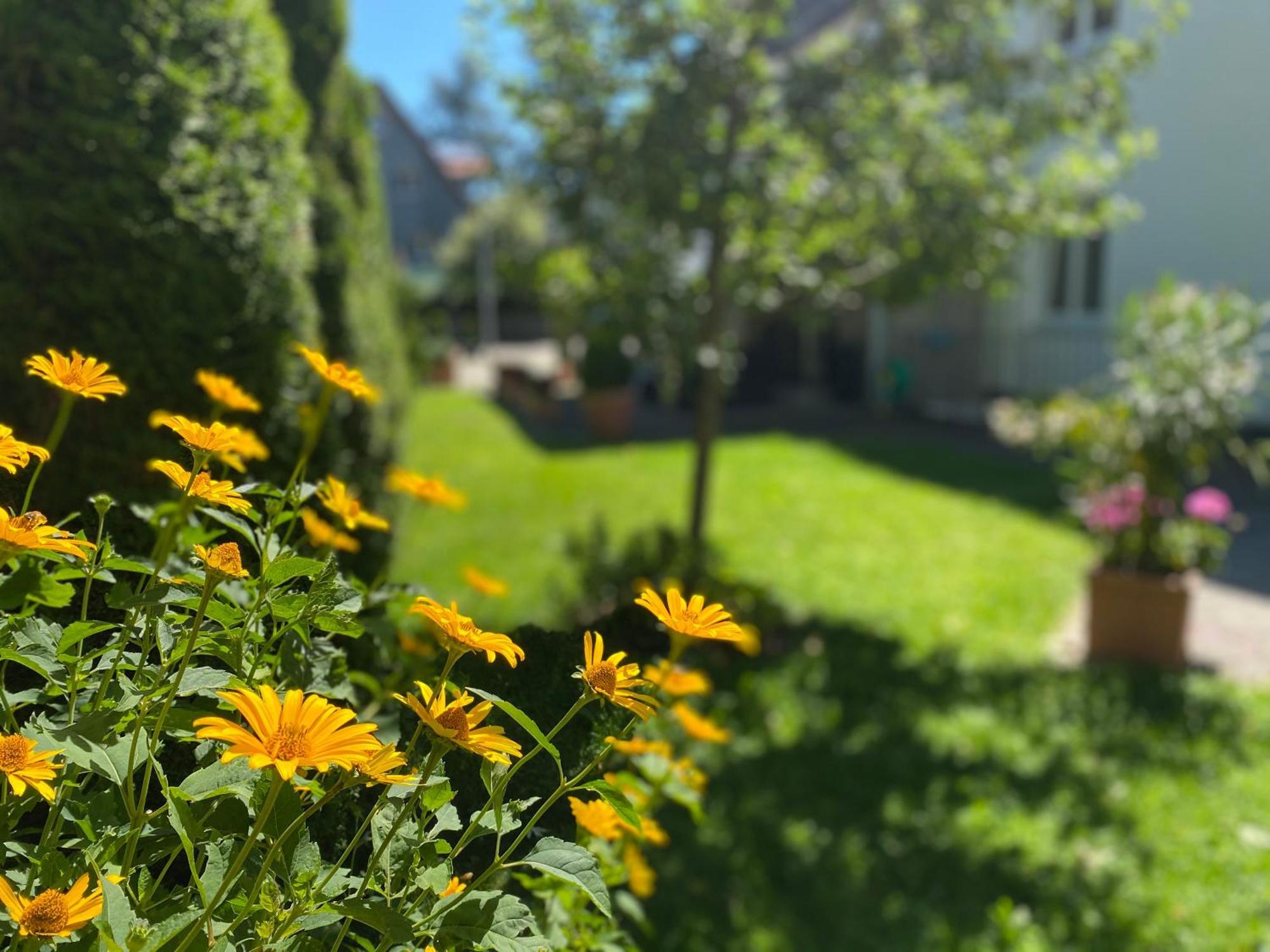Hotel Villa Solln München Eksteriør bilde